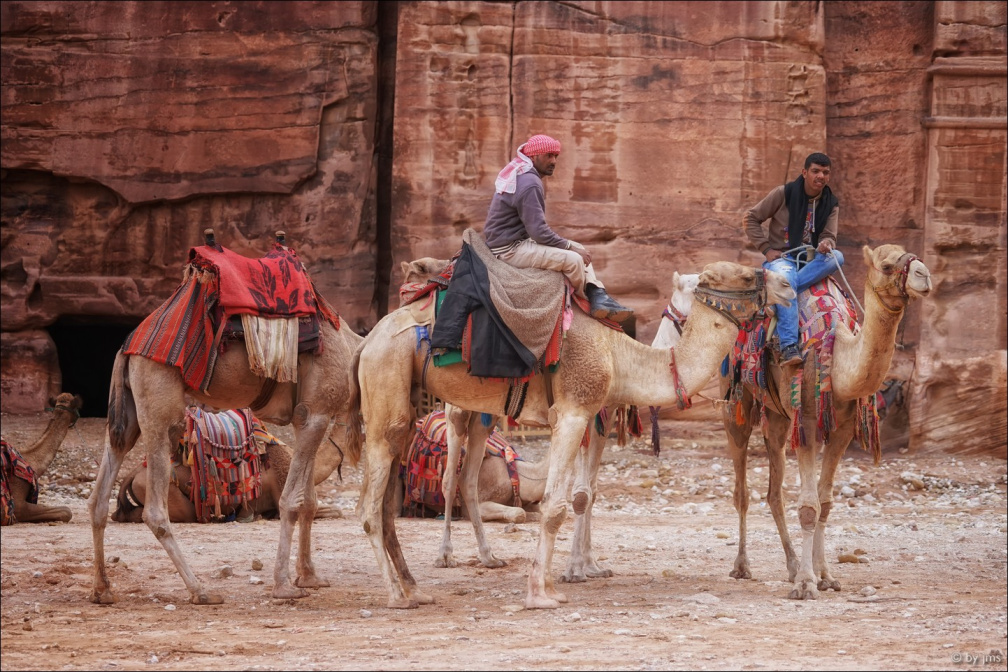 Petra-Kamele-drei-Reiter-zwei-2