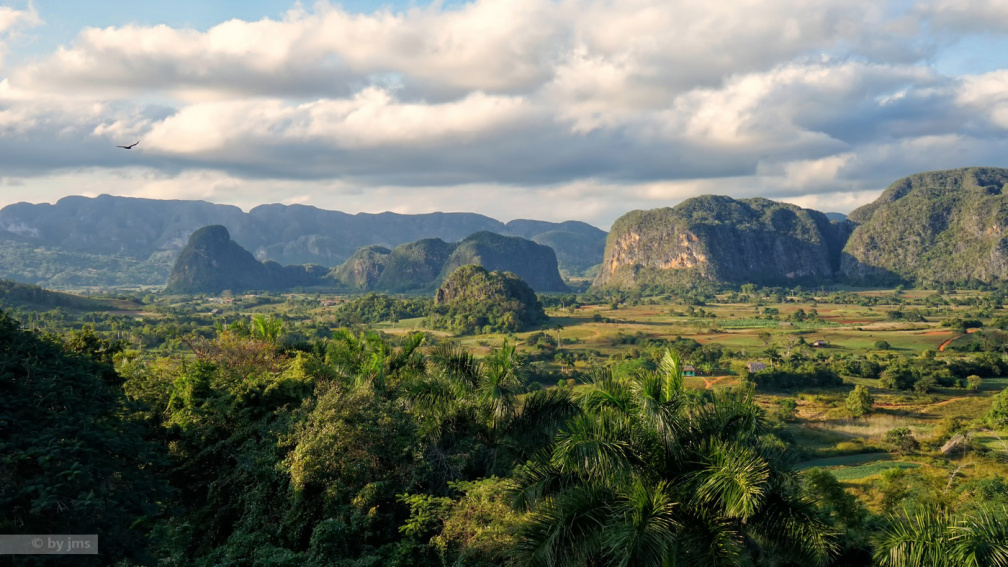 2-VINALES10-12-30-15