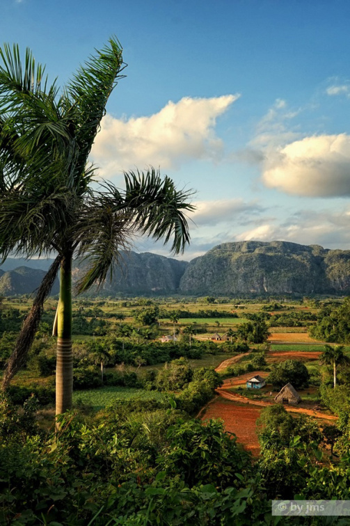 2-VINALES13-12-30-16