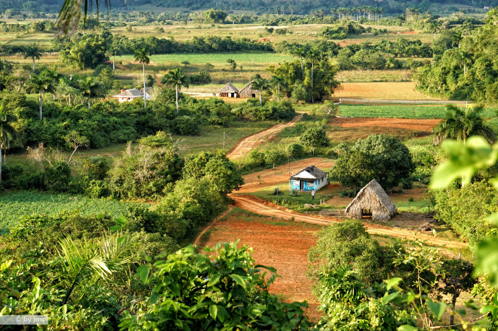 2-VINALES14-12-30-16