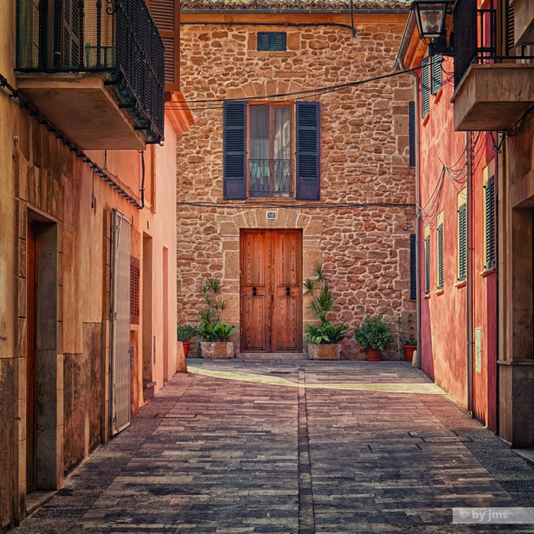 DSC06731_tonal_detail_cross